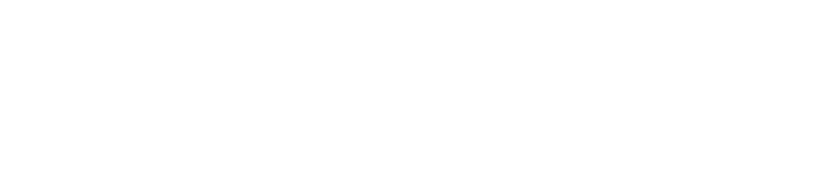 bigspy